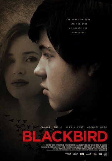 Чёрный дрозд фильм (2012)