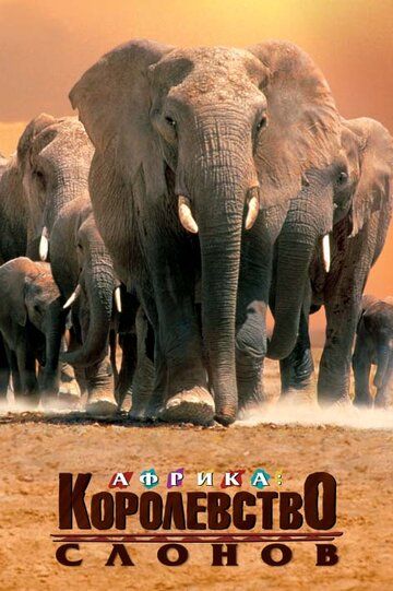 Африка – королевство слонов фильм (1998)