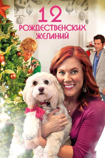 12 Рождественских желаний фильм (2011)