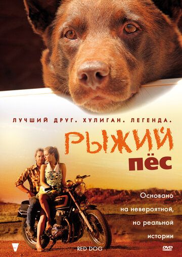 Рыжий пёс фильм (2011)