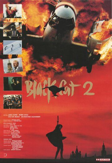 Черная кошка 2 фильм (1992)