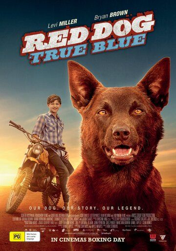 Рыжий пес: Самый верный фильм (2016)