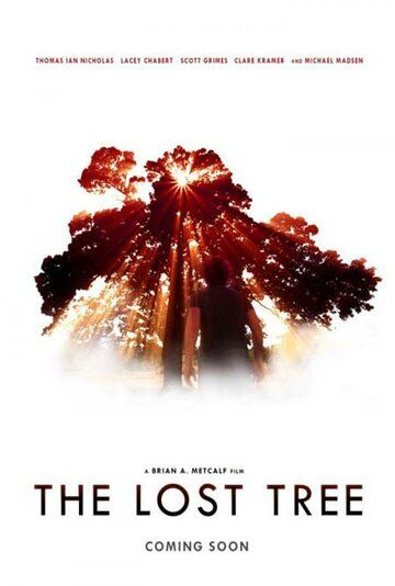 Потерянное дерево фильм (2016)