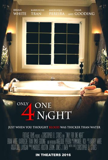 Только на одну ночь фильм (2016)