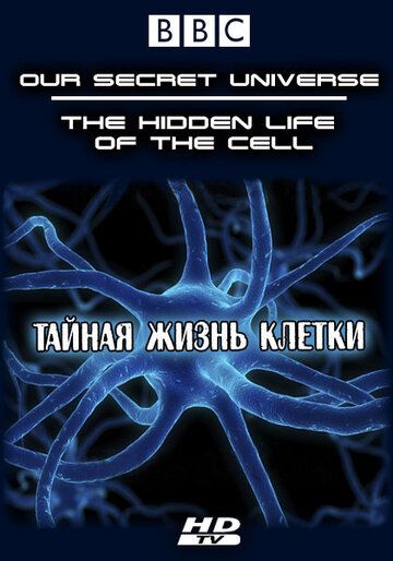 Внутренняя вселенная: Тайная жизнь клетки фильм (2012)