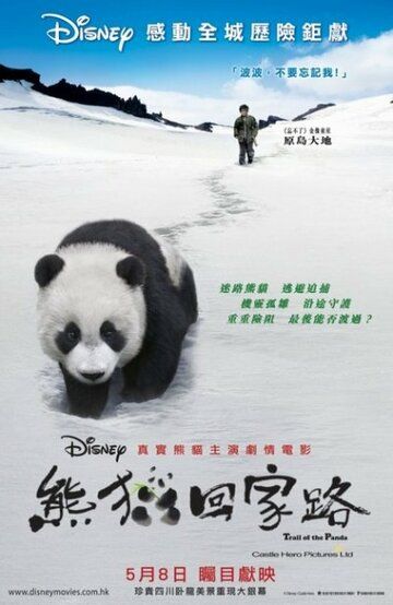 След панды фильм (2009)