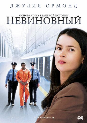 Невиновный фильм (2009)