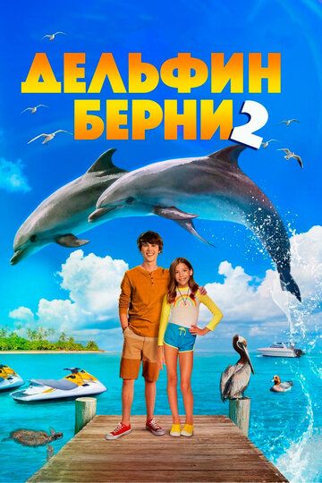 Дельфин Берни 2 фильм (2019)