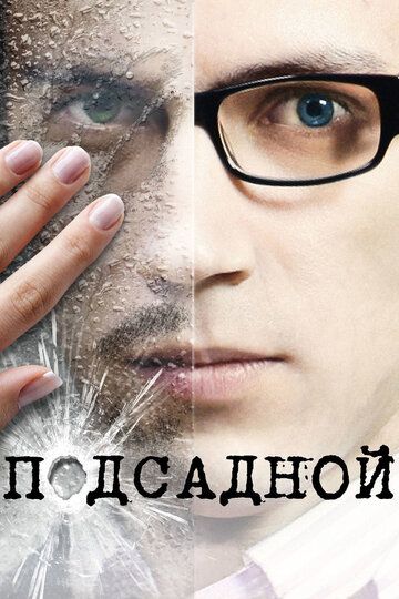 Подсадной фильм (2010)