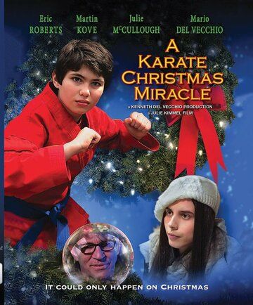 Рождественское чудо в стиле карате фильм (2019)