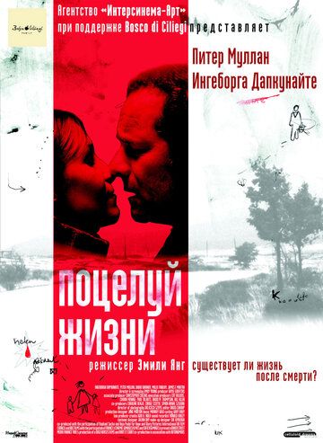 Поцелуй жизни фильм (2003)