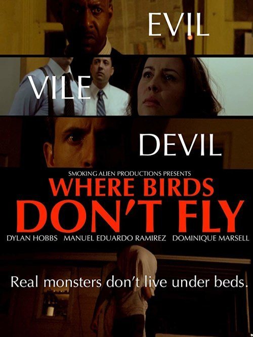 Где птицы не летают фильм (2017)