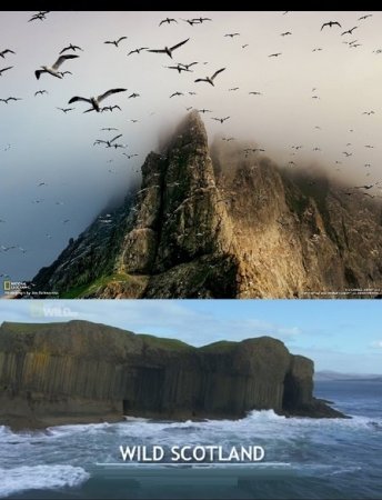 Дикая Шотландия: Гебридские острова