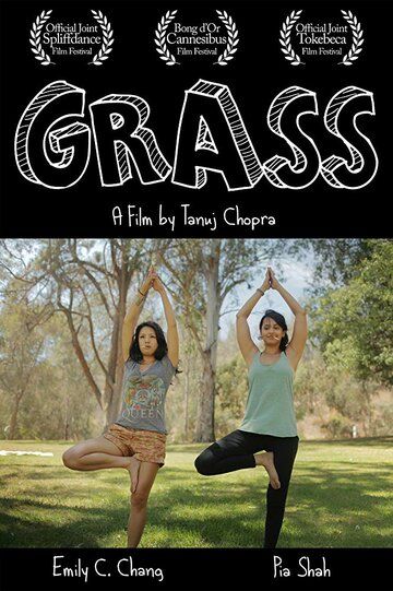 Grass фильм (2017)