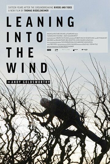 Leaning Into the Wind: Andy Goldsworthy фильм (2017)