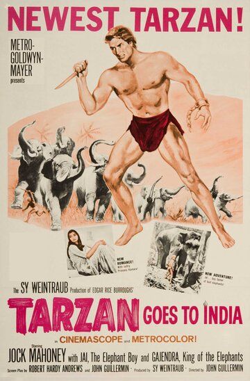 Тарзан едет в Индию фильм (1962)