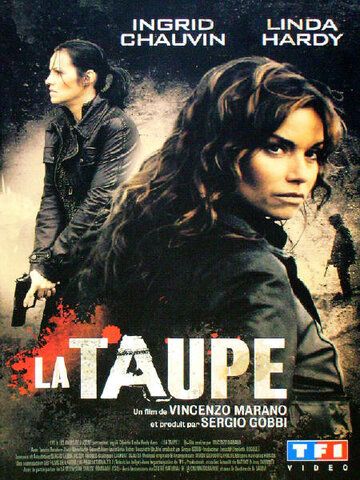 Шпион фильм (2007)