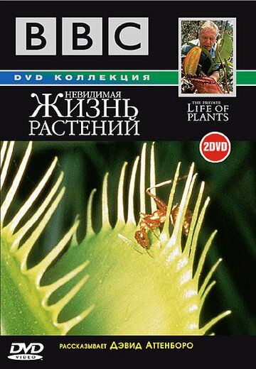 BBC: Невидимая жизнь растений сериал (1995)