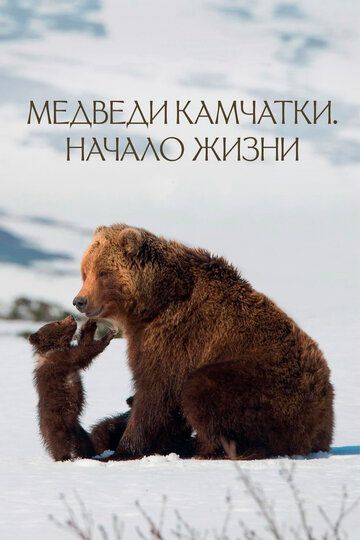 Медведи Камчатки. Начало жизни фильм (2018)