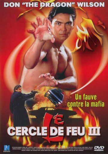 Огненное кольцо 3: Удар льва фильм (1994)