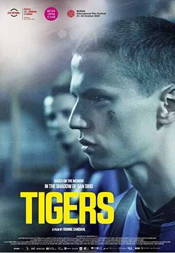 Тигры фильм (2020)