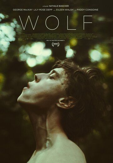 Волк фильм (2021)