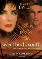 Сладкоголосая птица юности фильм (1989)