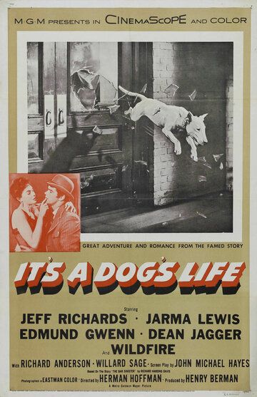 It's a Dog's Life фильм (1955)