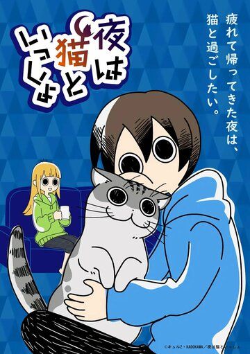 Вечера с котом аниме сериал (2022)